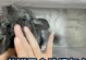 龙猫产后多久能洗澡（了解龙猫产后洗澡的最佳时机和注意事项）