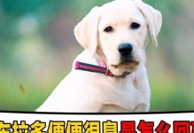 拉布拉多幼犬便便的样子（以正常拉布拉多幼犬便便为例，了解其外观、质地和颜色）