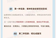 泰迪吃完打虫药后的拉肚子时间（探讨泰迪吃完打虫药后多久会出现拉肚子的现象及注意事项）