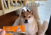 狗狗受凉尿频怎么办？（为宠物找到合适的治疗药物）