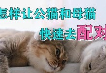 公猫不配猫的病症及解决方法（了解公猫不配猫的症状和应对措施，让你的猫咪快速配种）