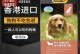 白色小博美的理想狗粮选择（了解白色小博美的需求，为其提供最佳狗粮）