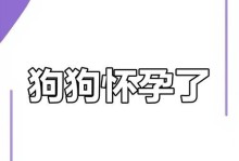 小狗怀孕期间需要多久才能恢复健康？（了解小狗怀孕恢复时间的关键因素与方法）