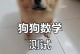 如何训练宠物狗狗学会算数（从基础概念到高级技巧，逐步教你让狗狗成为算数高手）
