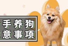 博美犬的饲养指南（了解如何正确照顾你的博美宝宝）
