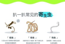小狗狗驱虫的最佳时机（宠物养护，关键在预防；如何选择合适的驱虫时间）