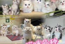 泰迪狗出生多久可以单独养？（探索泰迪狗在成长过程中适合单独养的最佳时机）