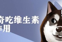 哈士奇日常生活所需维生素全揭秘（宠物主人必备的营养知识，让你的哈士奇更健康）