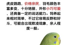 鹦鹉性别分辨与饲养技巧（零基础新手轻松养好鹦鹉）