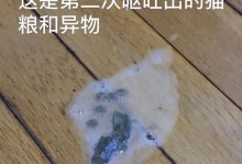 宠物猫怀孕50多天不吃饭，该怎么办？（如何帮助猫咪恢复胃口？）