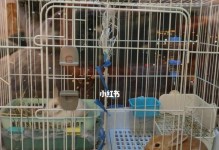 探究为什么兔子要分笼（养兔子的好处与注意事项）