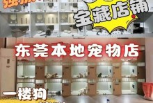英短蓝猫价格揭秘（了解英短蓝猫的市场行情与价值）