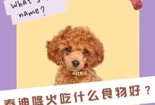 泰迪犬两个月大的补钙食谱（为你的小泰迪提供均衡的营养）