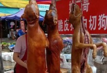 合肥犬业市场全览（探寻合肥市场上卖狗的不同场所）