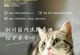 国产宠物疫苗哪些牌子好？（选择适合宠物的国产疫苗）