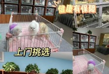 拉布拉多寻回犬的饲养指南（以宠物为主，让拉布拉多寻回犬健康快乐成长）