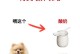 养博美犬省钱大法（如何在养狗狗时节省开支，让生活更经济实惠）