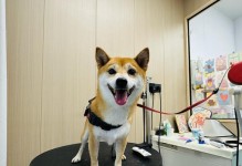 小狗生下来多久可以洗澡？（了解小狗的生理发育和洗澡时间的重要性）