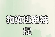 小狗多久可以拉出去溜（科学合理的遛狗时间规划）