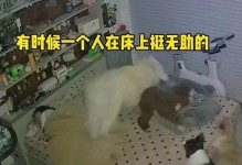用什么声音可以帮助狗狗入睡？（探索狗狗喜欢的睡眠声音和）