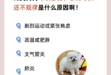 揭秘博美犬发抖的原因（探究博美犬发抖的根源及解决方法）