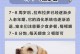 拉布拉多犬的成长之路（揭秘拉布拉多犬满一岁的奥秘）