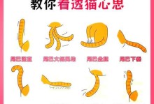 猫尾巴的语言（了解猫尾巴的姿势与意义，与你的猫咪更亲近）