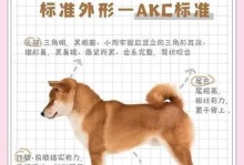 柴犬价格调查（了解柴犬价格的关键是什么？）