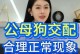 狗的配种注意事项（保障狗的健康与安全）