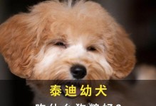 选择适合贵宾幼犬的高质量狗粮，保健成长（贵宾幼犬的饮食需求及如何选择合适狗粮）