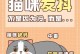 为什么猫睡觉会抖？（揭开猫咪抖动的神秘面纱，了解其原因）