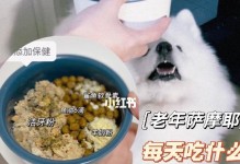 以萨摩耶能否享用人类食物？（探究以萨摩耶食物偏好及饮食禁忌）