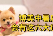 夏季高温下，如何预防和治疗狗狗中暑（以宠物为主，让你的爱犬远离中暑危险）