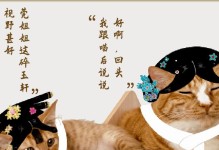 草猫（以草猫为主题，探讨如何提升社区居民的幸福感与社交互动能力）
