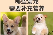 为什么以营养膏适合所有狗狗？（