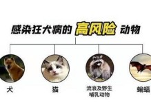 狗身上会传染人的病及预防措施（揭示与狗相关的疾病传播风险，保护人类健康的关键）