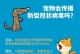 珍惜生命，不应因不爱而遗弃——宠物何辜？（宠物是家庭一员，责任不能丢弃）