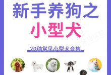 低价好养的小型犬推荐（适合家庭的小型犬品种及价格）