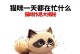 培养猫咪作息时间的重要性（了解猫咪作息时间如何影响其健康和行为）
