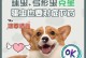 如何预防小狗感染球虫（选择合适的预防药物来保护你的小狗）
