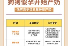 比熊犬意外怀孕的相关注意事项（孕期需要的关注和护理，妥善应对比熊犬的意外怀孕）