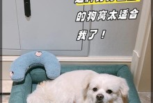 选择适合泰迪狗窝的关键因素（为你的泰迪选择合适的狗窝是一项重要任务）