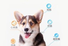 小狗拜耳——无私的忠诚伴侣（探索小狗拜耳的意义及其对人类的影响）