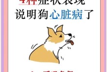 狗子心脏病（了解狗子心脏病的常见症状，保护你的爱犬心脏健康）