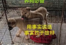 狗狗容易长哪些虫？（常见的狗狗寄生虫及预防方法）