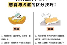 狗狗感冒了一般吐多久？（探究狗狗感冒期间的呕吐症状和持续时间）