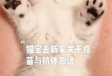 小猫预防针注射指南（以宠物为主，预防疾病从小开始）