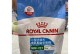 狗奶糕（通过仔细观察，了解狗奶糕的最佳食用时间）