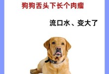 狗狗口腔溃疡的原因和预防方法（口腔溃疡的常见原因及预防措施）