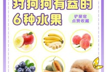 宠物狗狗的“山珍海味”（宠物狗的餐桌新宠，让狗狗吃得好味道更健康）